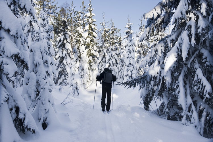 Photo of Skiing in Oslo.