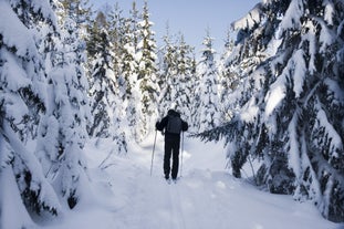 Snowboarding in the Norwegian mountains in Kongsberg.