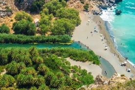 Full-Day Tour to Preveli Palm Beach From Chania