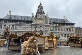 Journée guidée privée à Anvers et à Bruxelles avec dégustations