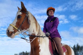 Excursion d'une journée à cheval dans la montagne de Rila