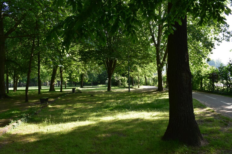 Photo of Chelles park, France.