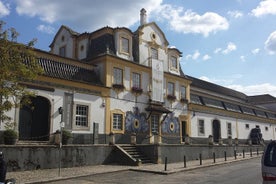 Visite privée - Visite des vignobles d'Arrábida et de Sintra