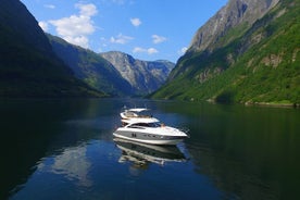 Yksityinen päiväristeily Flåmissa ja Gudvangenissa, Nærøyfjordissa