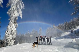 Ehrwald: Zugspitze Snowshoe Hiking Tour with Mountain Views