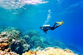 Scuba Diving Experience for Beginners w/Instructor incl. Transfer