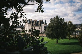 Amboise Alcove: tour guidato privato esclusivo di 2 ore