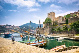 Photo of the Canal and Castle of Perpignan in springtime, Pyrenees-Orientales, France.