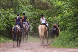 Kusadasi Horse Riding Beach and Forest options with Transfer 