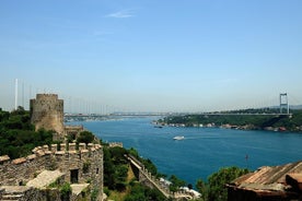 Crucero por el estrecho del Bósforo con visita a la Fortaleza Rumeli o el Palacio Kücüksu