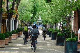 Tour en bicicleta por el lago Subotica y Palić