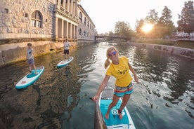 Lección y visita a Ljubljana Stand-Up Paddle Boarding