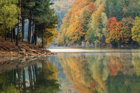 photo of view of Europe, Romania. Maramures County. Baia Mare. Firiza. Lake Firiza. Fall color.