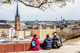 Stockholm privat brugerdefineret tur med en lokal guide, højdepunkter og skjulte perler