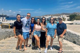 Private Tour- 4 Hours Mykonos Island