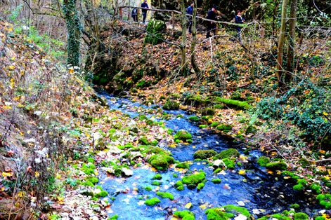 Photo of Autumn landscape in Banat Mountains. Bigar waterfall. Izvorul Bigarului, Transylvania, Romania .