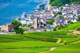 Expérience d'une journée complète de visite privée des vins de la vallée du Rhin au départ de Francfort