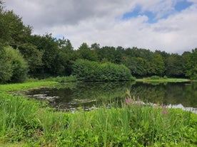 Parc des Gayeulles