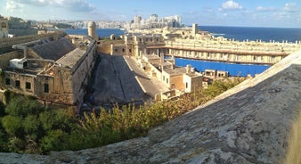 Aerial view of Lady of Mount Carmel church, St.Paul's Cathedral in Valletta embankment city center, Malta.