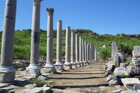 Excursión a Perge, Aspendos, Side y Waterfall (sightseeng), viaje, todos los días.