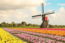 Private Windmills & Keukenhof Gardens and Tulip Fields Tour from Amsterdam