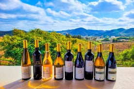 Tour de cata de vinos en grupos pequeños desde Lagos