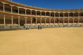 Excursion privée à Ronda depuis la Costa del Sol 7 heures