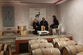 From Civitavecchia: Tuscany-Latium Wine Tour with Tastings