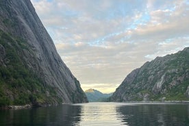 Luxury Trollfjord Cruise with Eagles Safari in Svolvær Lofoten