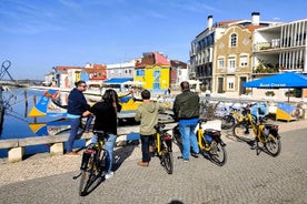 Aveiro e Coimbra - Excursão histórica de dia inteiro