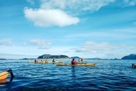 Caiaque no mar em Ålesund