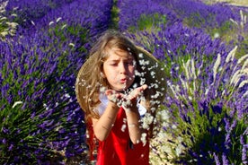 Sogno di donne-Campi di lavanda, degustazione di vini, pranzo in Provenza