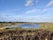 Rye Harbour Nature Reserve (Winchelsea), Icklesham, Rother, East Sussex, South East England, England, United Kingdom