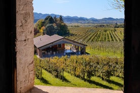 Tour pela vinícola com degustação de vinhos e comidas em Valdobbiadene