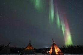 Rovaniemi: Lapland Northern Lights Tour with BBQ