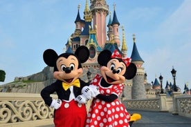 Private Transfer from Airport to Disneyland Paris or Vice Versa