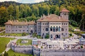 Visite du château de Peles, du château de Cantacuzino et du château de Bran au départ de Brasov