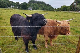 Inverness: Skoska Hálöndin, Loch Ness og Urquhart kastali