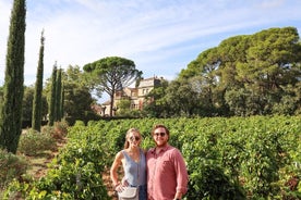 La historia de Avignon, la cultura local y los vinos de Châteauneuf du Pape tour privado