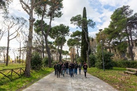 Tagestour zu den Ruinen von Pompeji ab Rom