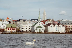 Explora Reykjavik en 1 hora con un local