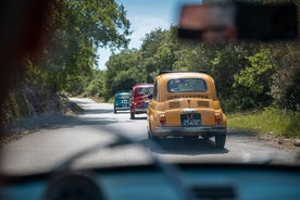 Private Tour in Fiat 500 in Valle di Itria between Art and Engines