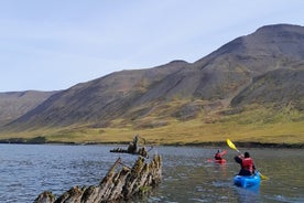 Guidet kajakktur i Siglufjörður / Siglufjordur.