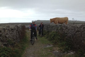 Aran Island Inishmore Private Guided E-Bike Tour from Doolin