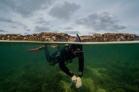 Begeleide snorkelactiviteit bij Coral Beach Carraroe, Galway