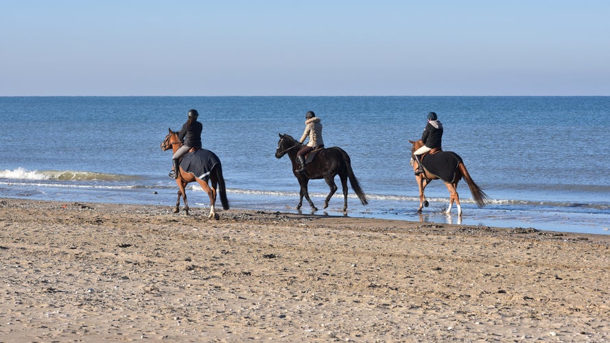 Girls riding horses on the beach of Deauville (France)