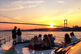  Allt på en dag Istanbul - Historisk rundtur i Istanbul med Bosphorus Cruise