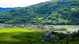 Гостевые дома в Живце (Польша)