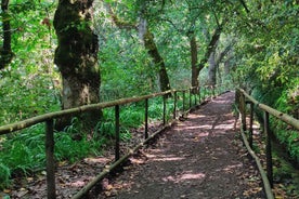 Caldeirão Verde Levada: Roundtrip Transfer & Hike