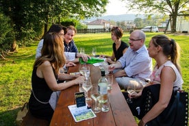 Excursão de vinho de meio dia no campo perto de Viena